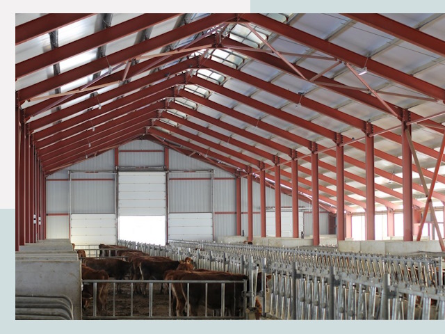 Строительство коровников в Арсеньеве