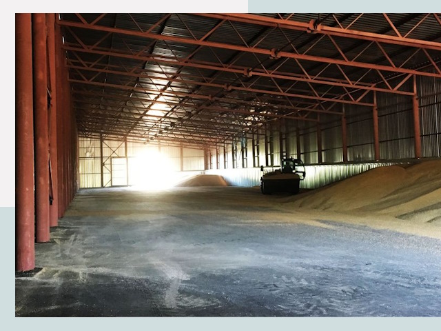 Строительство зернохранилищ в Арсеньеве