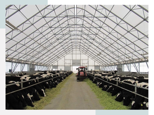 Тентовые коровники в Арсеньеве от 617 руб. - Надежно и доступно